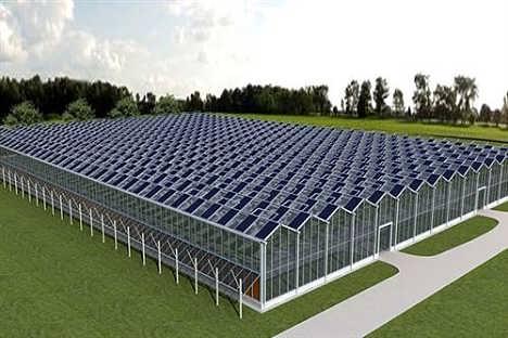 植物将在太阳能电池温室中生长良好
