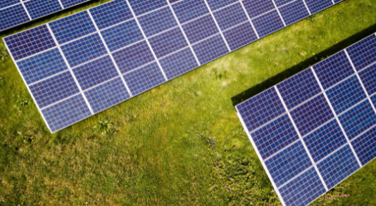 ReNew Power在MSEDCL太阳能拍卖中赢得 200 MW